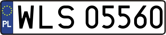 WLS05560