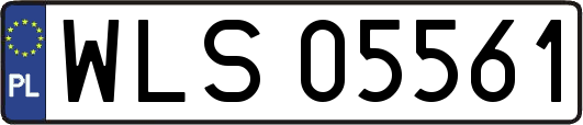 WLS05561