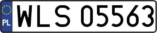 WLS05563