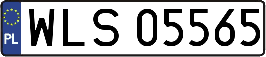 WLS05565
