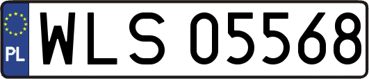 WLS05568