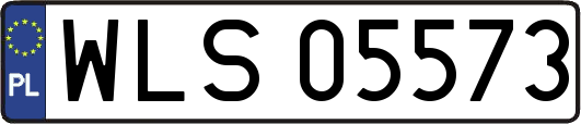 WLS05573