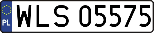 WLS05575