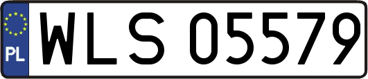 WLS05579