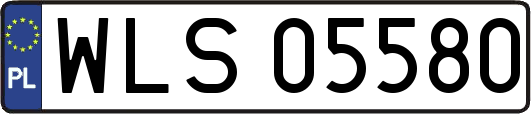 WLS05580
