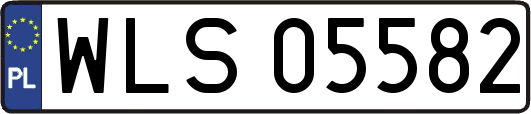 WLS05582