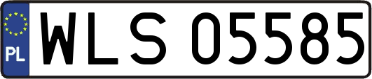 WLS05585