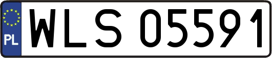 WLS05591
