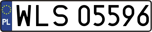 WLS05596