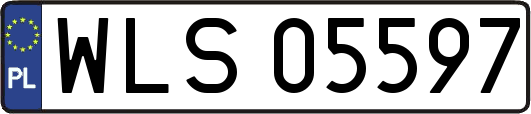 WLS05597
