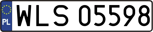 WLS05598
