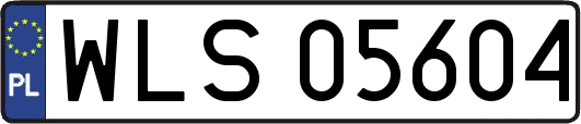 WLS05604