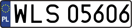 WLS05606