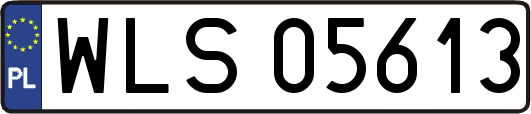 WLS05613