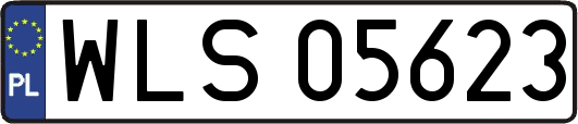 WLS05623