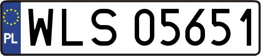 WLS05651