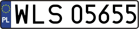 WLS05655