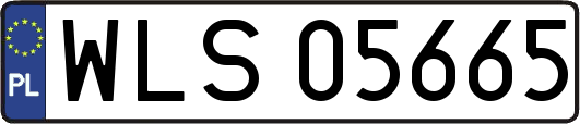 WLS05665