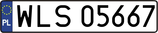 WLS05667