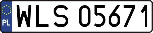 WLS05671