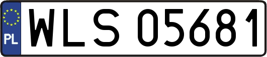 WLS05681