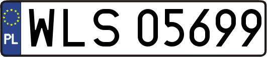 WLS05699