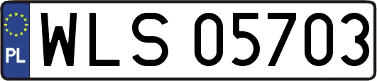 WLS05703