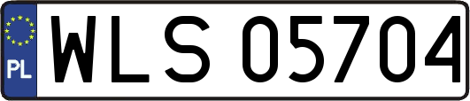 WLS05704