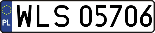 WLS05706