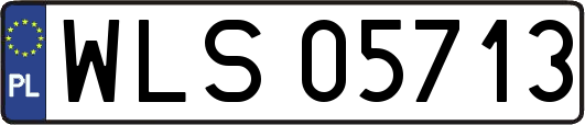 WLS05713
