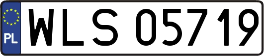 WLS05719