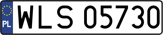 WLS05730