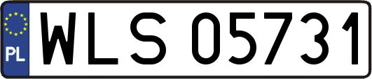 WLS05731