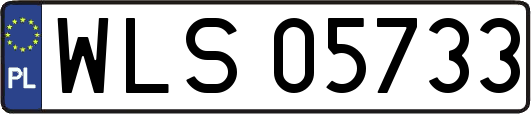 WLS05733