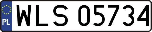 WLS05734
