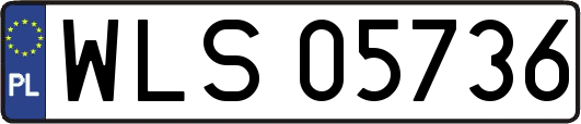 WLS05736