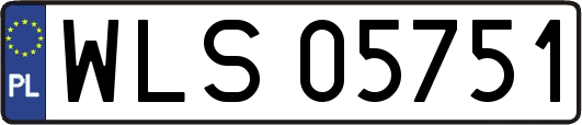 WLS05751