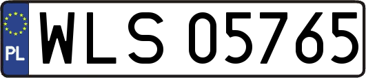 WLS05765