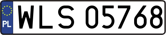 WLS05768