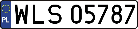WLS05787