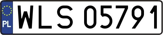 WLS05791