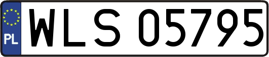 WLS05795