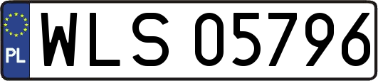WLS05796
