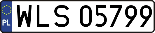 WLS05799