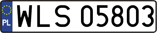 WLS05803