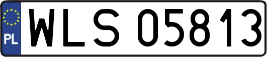 WLS05813