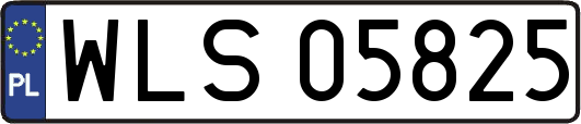 WLS05825