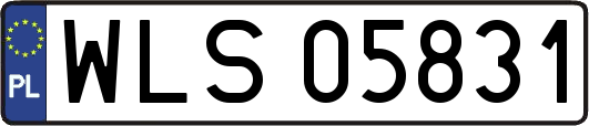 WLS05831