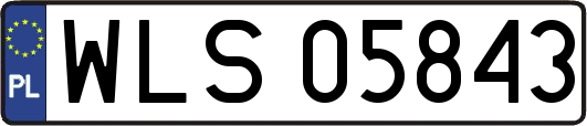 WLS05843