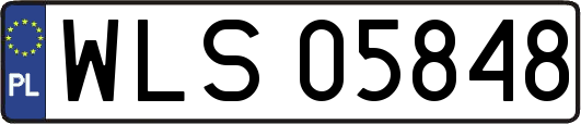 WLS05848